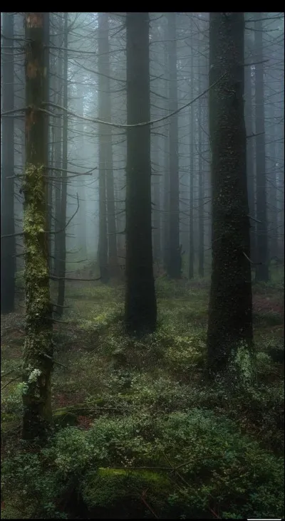 Après des heures de marche, tu te rends compte que tu tournes en rond...