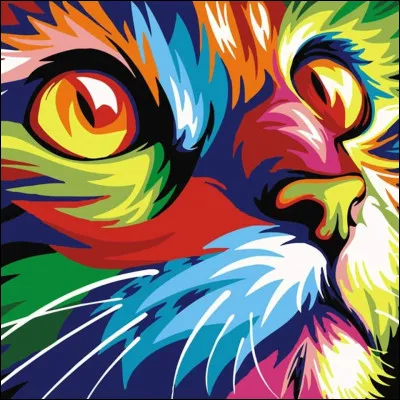 Que signifie''castanho'' en français ?