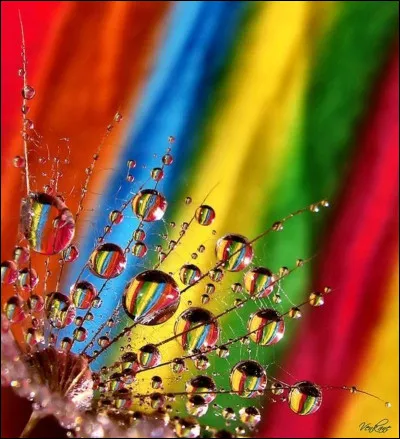 Compète l'expression : "J'ai une peur ... des araignées" !