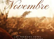 Quiz Le mois de novembre !