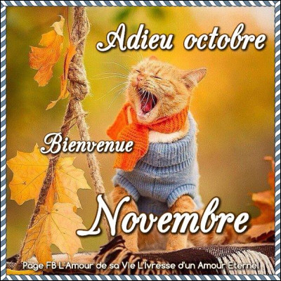 Combien de jours y a-t-il au mois de novembre ?