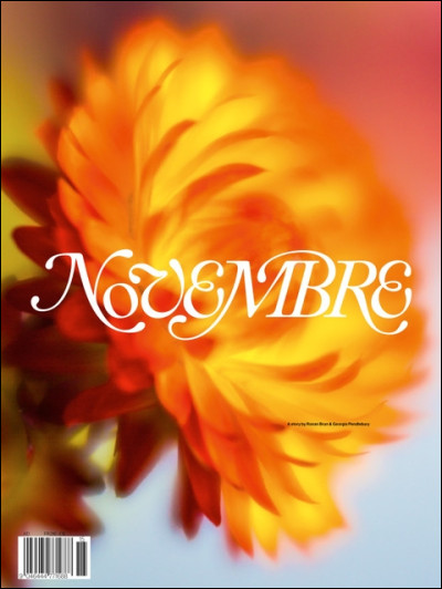 Novembre vient du mot latin "novem" qui veut dire...