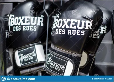 Comment le boxeur Marcel Cerdan est-il décédé en 1949 ?