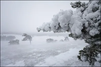 Que tient-il à la main ?