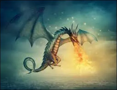 Comment se prénomme le frère qui élève des dragons de Ron ?