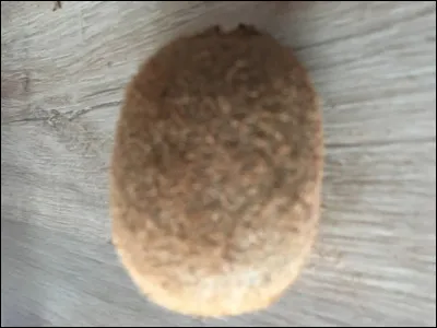 Quel est cet aliment ?