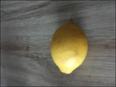 Quel est cet aliment ?