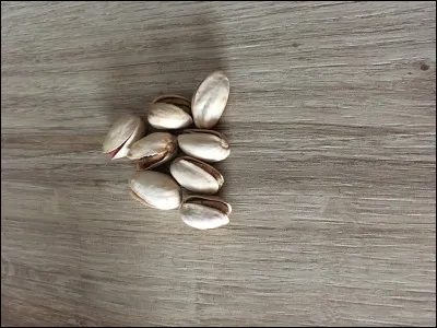 Quel est cet aliment ?