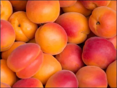 Quel est cet aliment ?