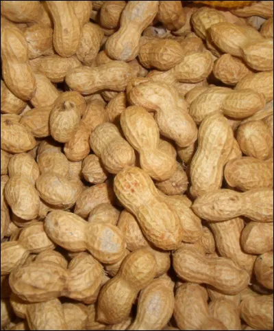 Quel est cet aliment ?