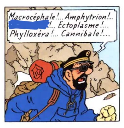 Décidément, la montagne semble tout particulièrement inspirer notre vieux loup de mer de Haddock !