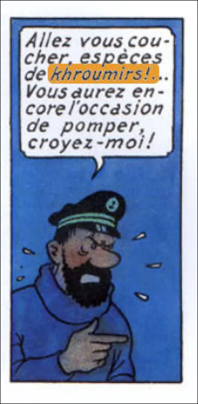 Et quand il n'y en n'a plus, il y en a encore... Qu'est-ce donc que ce terme de "khroumir" ?