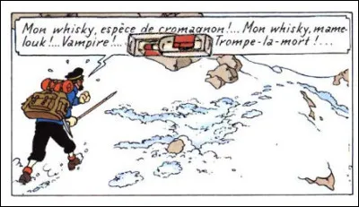 Et l'on continue dans le bizarre, à la limite d'un très mince delirium...