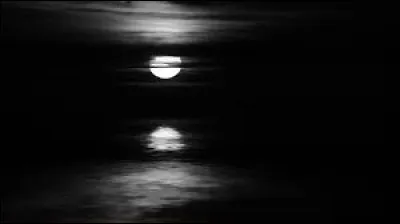 Qui a écrit le roman policier "La Maison du clair de Lune" ?