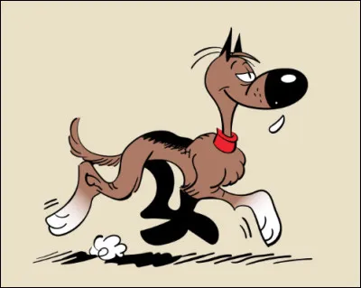 Quel est le nom en R de ce chien de fiction de la bande dessinée Lucky Luke, le berger allemand le plus bête de l'ouest américain ?