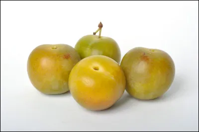 Quel est ce fruit en R, une prune parfumée à texture ferme et juteuse et aux fibres laxatives ?