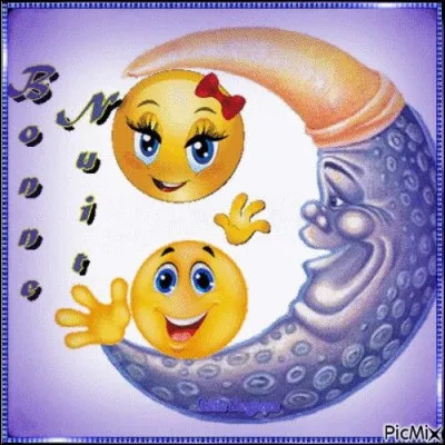 Le groupe Indochine a demandé à la lune... Mais que lui a-t-il montré pour que la lune se moque de lui ?