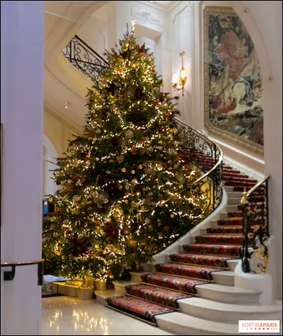 Dans la chanson "Mon beau sapin", qu'est-ce qu'on aime le plus chez ce dernier ?