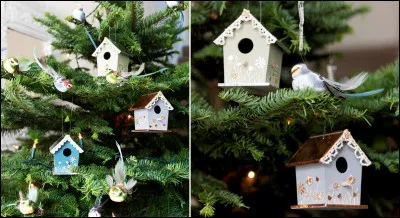 Dans la chanson "Mon beau sapin", qu'est-ce qu'on aime le plus chez ce dernier ?