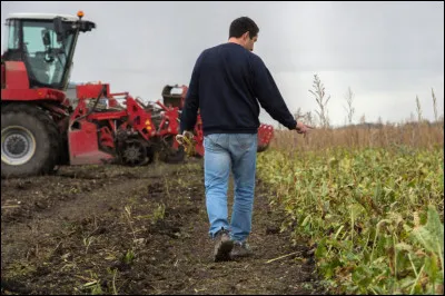 Quelle est la profession exercée par cet homme ?