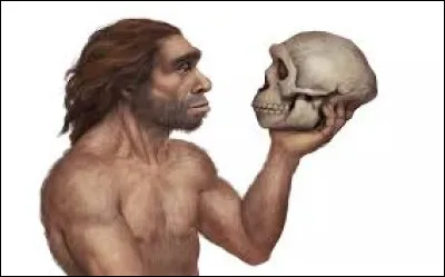 Lequel de ces caractères physiques n'est pas caractéristique du crâne de Néandertal par rapport à un crâne d'Homo sapiens ?