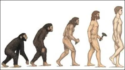 L'homme moderne est un hominidé apparu en Afrique il y a 300 000 ans, puis qui s'est répandu à travers le monde. Quel est son nom scientifique ?