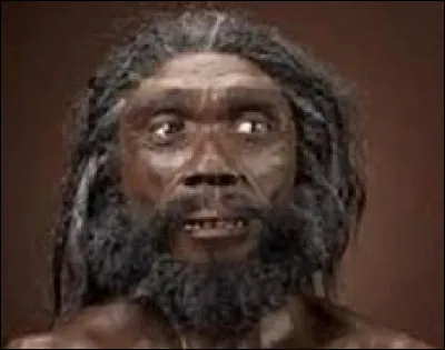 L'homme de Néandertal est-il l'ancêtre direct de l'homme moderne ?