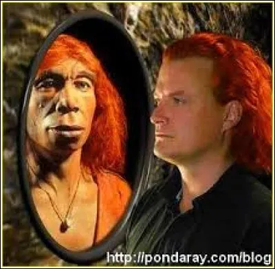 Les rencontres entre Néandertaliens et Homo sapiens ne furent pas forcément violentes, certaines furent fécondes. Des études génétiques ont montré une certaine hybridation des populations. Quel est le pourcentage de gènes néandertaliens présents chez l'ADN de l'homme moderne ?