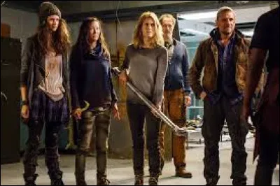 De quelle série provient cette illustration ?