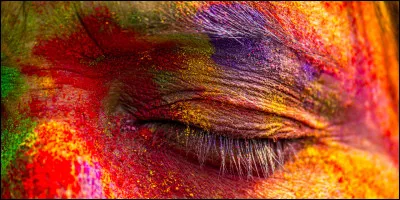 Quel type de couleurs préfères-tu ?