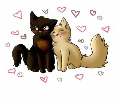 Lors d'une assemblée, tu deviens ami avec un chat d'un autre clan. Même un peu trop ami... Et vous commencez à vous voir en cachette.