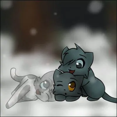 Lors d'une patrouille de chasse, tu trouves des chatons blessés sur ton territoire. Ils sentent un autre clan. Que fais-tu ?