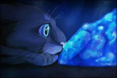 Tu pars enfin à la Pierre de Lune. Le clan des Étoiles défile et les chats fantômes te donnent chacun leur tour une vie. Mais le dernier qui s'avance est ton pire ennemi ! Quelle est ta réaction ?