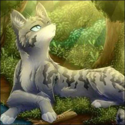 La lune se voile et vous êtes donc obligés de rentrer au camp. Avant de t'endormir, tu médites sur ton rôle de chef. Que veux-tu réellement ?