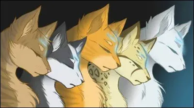 Tu as eu une longue et belle vie mais il est temps pour toi de rejoindre tes ancêtres. Que fais-tu en premier en rejoignant leur terrain de chasse ?