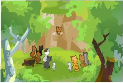 Tu es nommé apprenti Nuage du Soir.