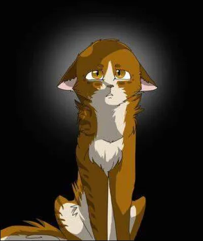 Ton mentor, Bec de Moineau, te dit de nettoyer la tanière des anciens pour ta première tâche d'apprenti.