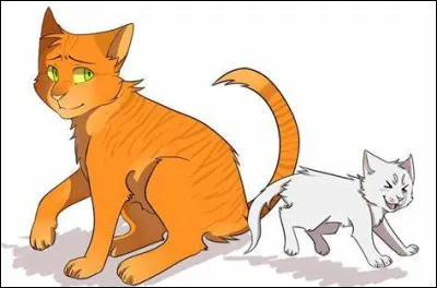 La guerre est finie. Personne n'est gravement blessé dans les deux clans. Pendant que le guérisseur soigne les chats de ton clan les uns après les autres, le chef veut te remercier de t'être bien battu. Te voilà mentor de Nuage de Roses ! Quelle va être ta première activité ?