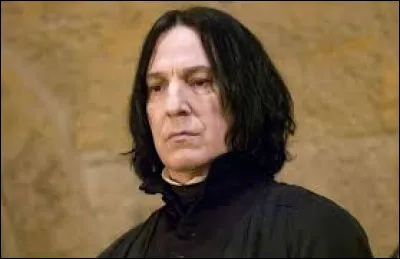Qui est ce personnage dans la saga "Harry Potter" ?