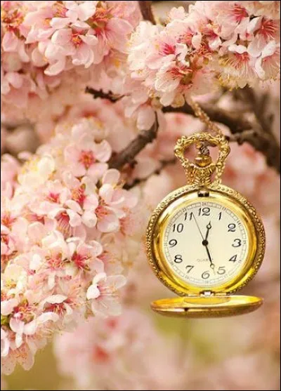 Qui est l'auteur du roman "Le Temps des amours", relatant ses souvenirs de jeunesse au lycée à Marseille ?