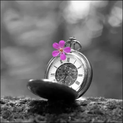 Qui nous chantait "En ce temps-là, j'avais 20 ans, sur la télé en noir et blanc on découvrait le rock'n'roll" ?