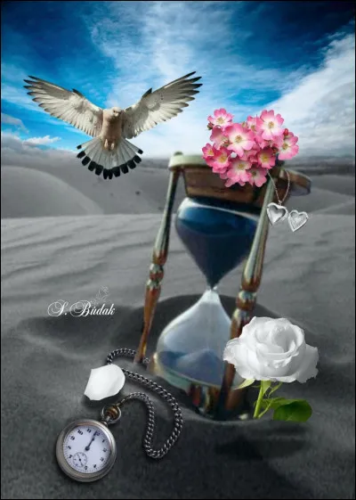 Lequel de ces trois oiseaux peut passer, le plus de temps en vol, sans escale, donc sans se poser ?