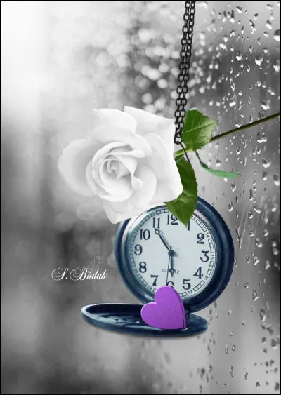 Qui interprétait "Le Temps des Cathédrales, dans la comédie musicale "Notre-Dame de Paris ?