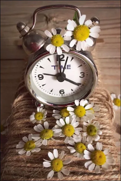 Quel est ce film sorti en 2006, avec Jean-Paul Rouve et Anne Brochet, qui incarnent un couple entourant un petit garçon ?