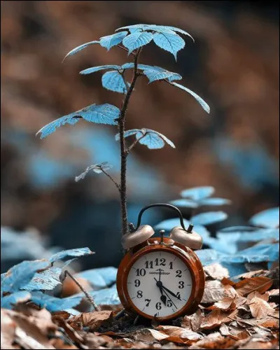 Qui a écrit "Voici le temps des imposteurs" ?