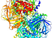 Quiz SVT : THME 1 : 5) L'enzyme, un catalyseur biologique