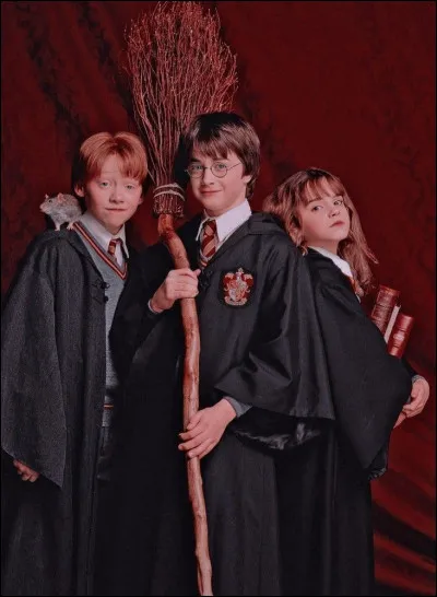 Quel est le nom complet de Harry Potter ?