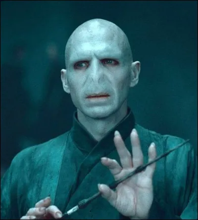 Quel est l'autre nom de Voldemort ?