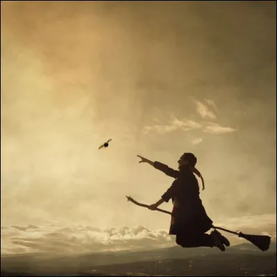 Quel est le sport des sorciers ?