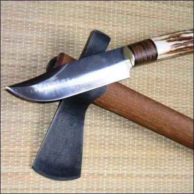 Quelle partie du corps peut aussi &ecirc;tre appel&eacute;e scalp ?